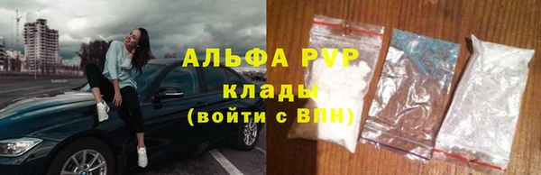 шишки Ладушкин