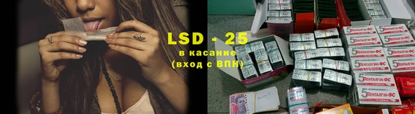 шишки Ладушкин