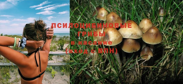 шишки Ладушкин