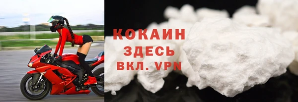шишки Ладушкин