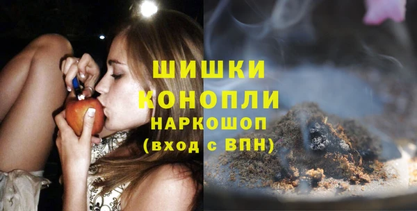 шишки Ладушкин