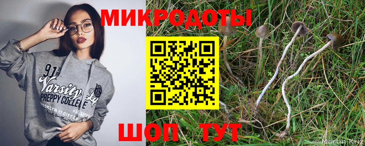 Ступино  Псилоцибиновые грибы Psilocybe  Вход с VPN  Псилоцибиновые грибы прущие грибы 